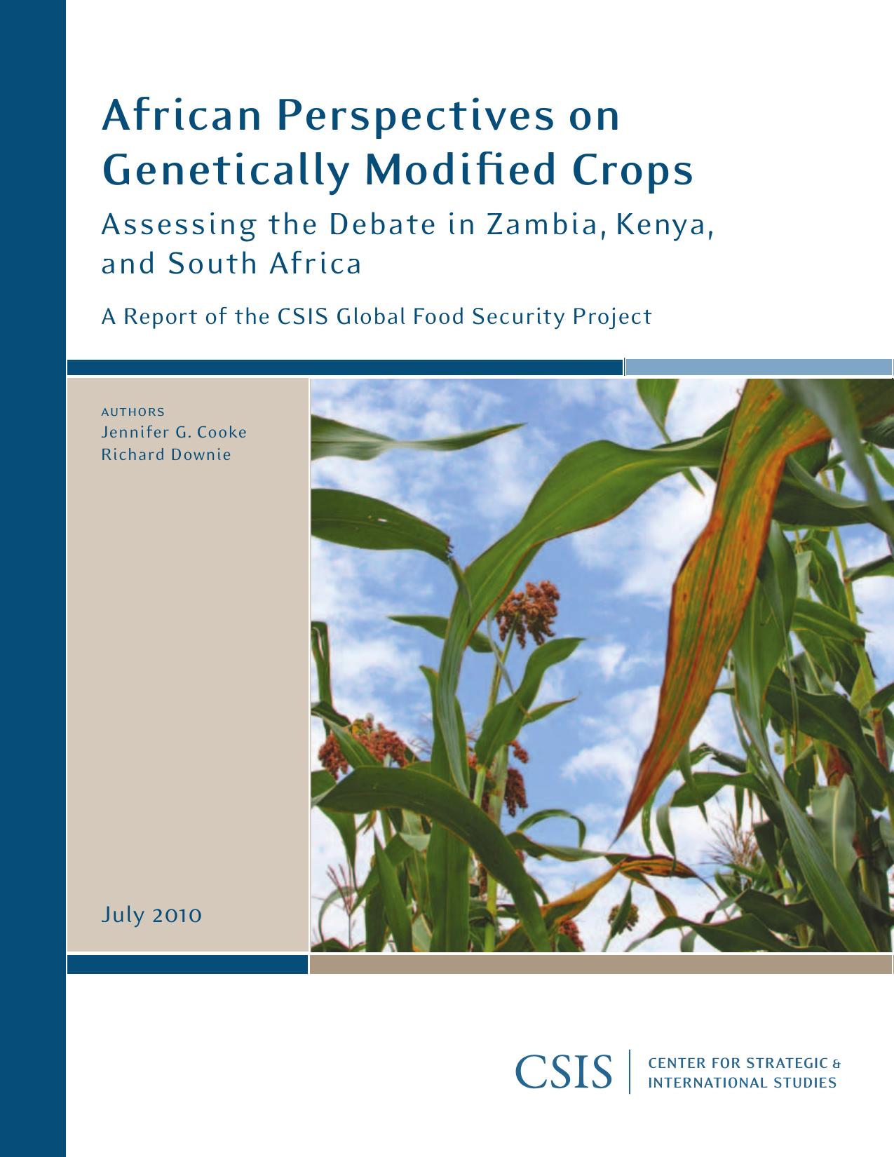 African Perspectives on