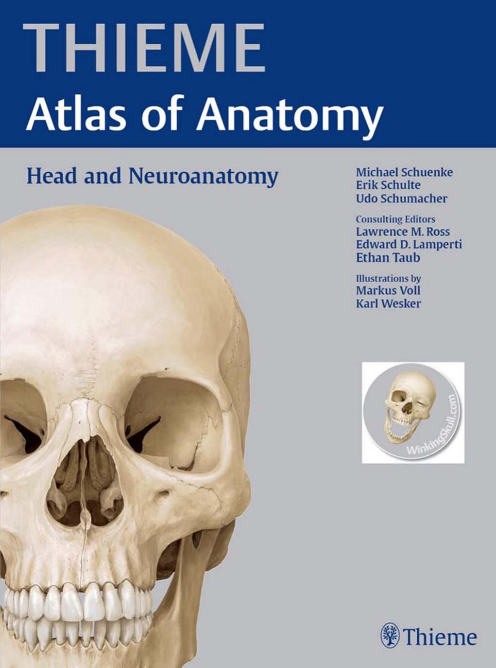 Head and Neuroanatomy THIEME Atlas of Anatomy