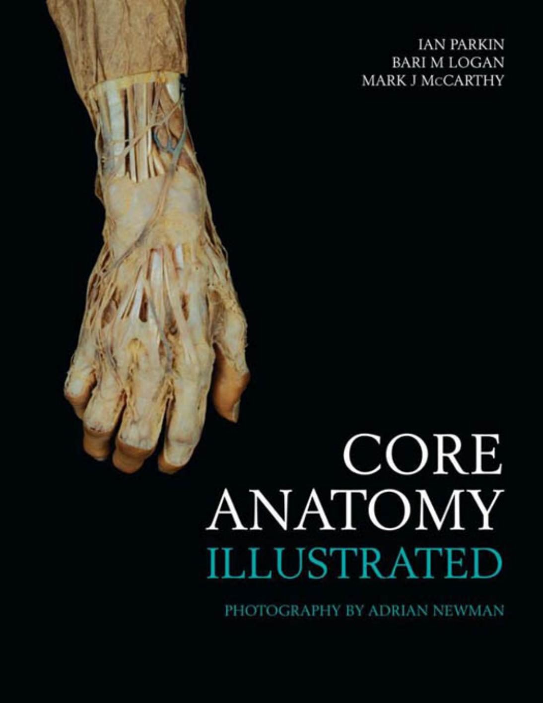 Core anatomy illustrated