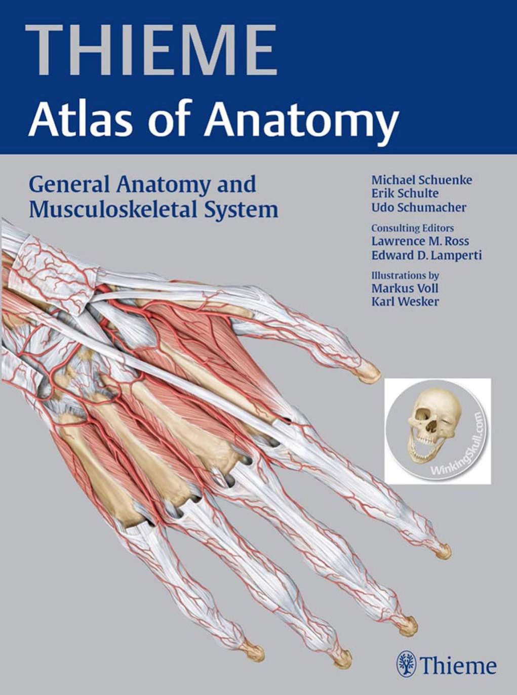 General Anatomy and Musculoskeletal System THIEME Atlas of Anatomy