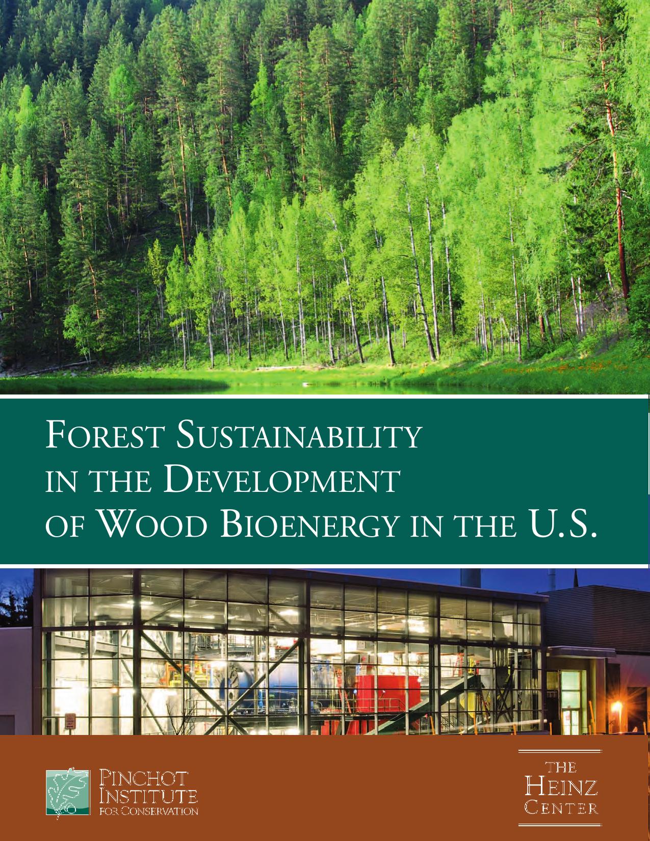 Forest Sustainability in the Development of Wood Bioenergy in the U.S.