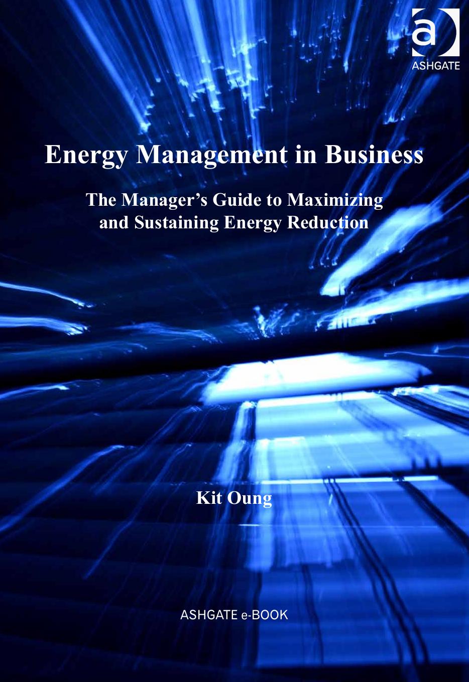 Energy Management in Business: The Manager's Guide to Maximizing and Sustaining Energy Reduction