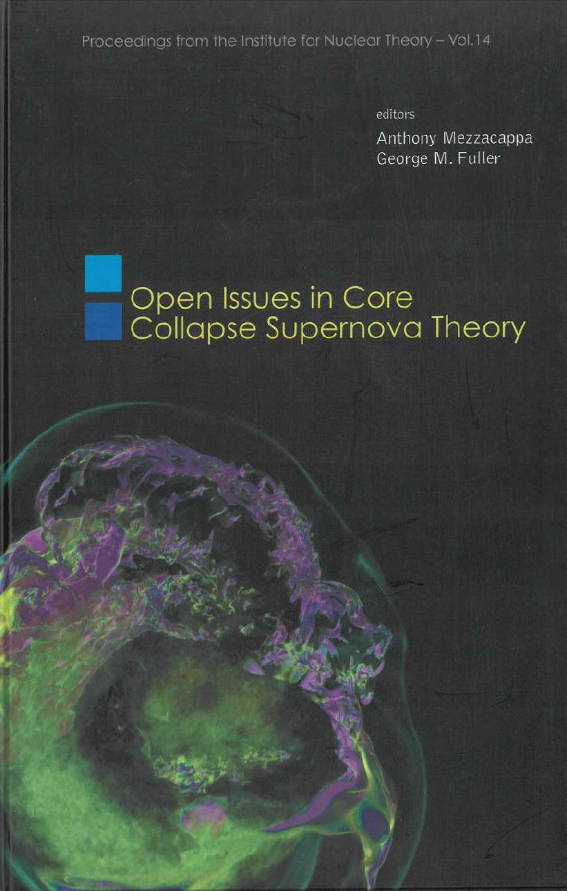 Open Issues in Core Collapse Supernova Theory