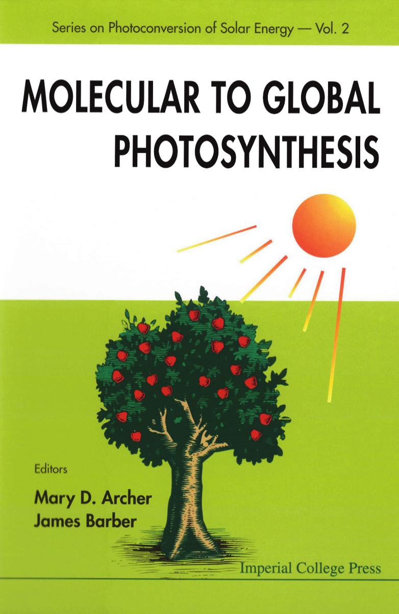 Molecular to Global Photosynthesis