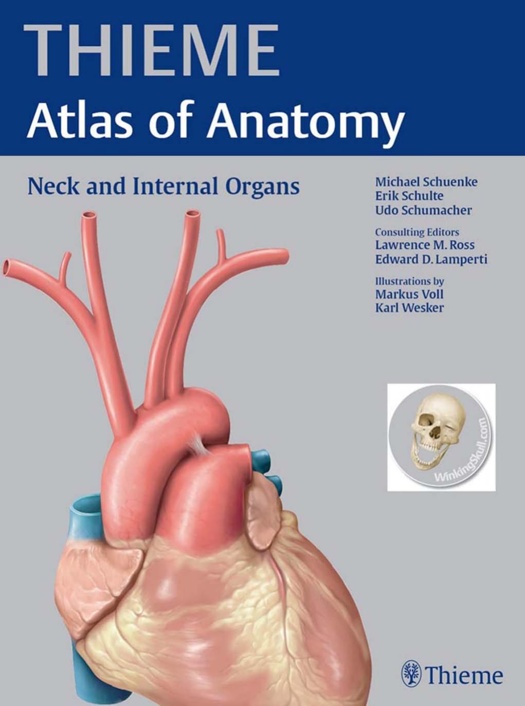 Neck and Internal Organs THIEME Atlas of Anatomy