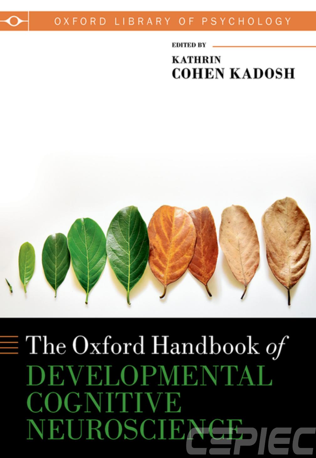 The Oxford Handbook of Developmental Cognitive Neuroscience